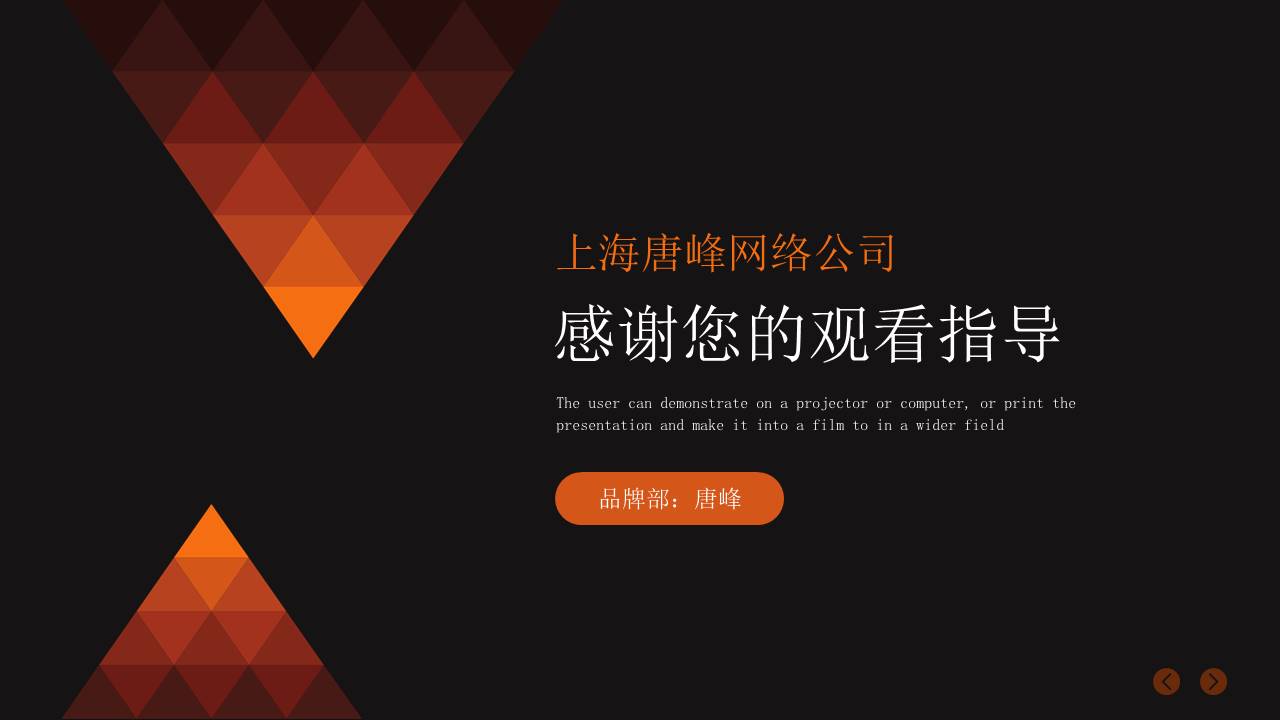 营销策划 (16).pptx